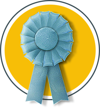 Blue Ribbon Award PNG - light-blue-ribbon-award blue-ribbon-award-template  blue-ribbon-award-design blue-ribbon-award-icon blue-ribbon-award-books blue -ribbon-award-coloring-pages blue-ribbon-award-logos. - CleanPNG / KissPNG
